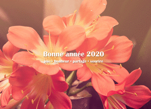 bonne ann&eacute;e 2020 joie et bonheur