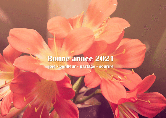 Carte Bonne année 2021 joie et bonheur Carte de voeux 2021 avec des fleurs