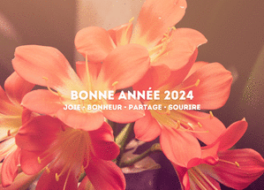 Carte Bonne année 2024 joie et bonheur Carte de voeux 2024 avec des fleurs