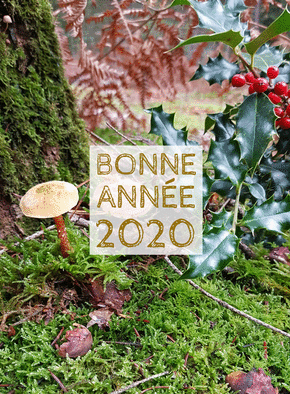 bonne ann&eacute;e 2020 dans la for&ecirc;t