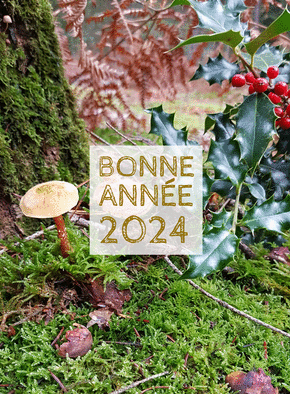 Carte Bonne année 2024 dans la forêt Carte de voeux Nature 2024