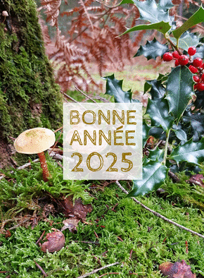 Carte Une année 2025 pleine de nature et de vie Carte de voeux Nature 2025