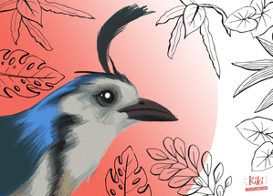 Carte Oiseau bleu du Costa rica Carte avec un oiseau