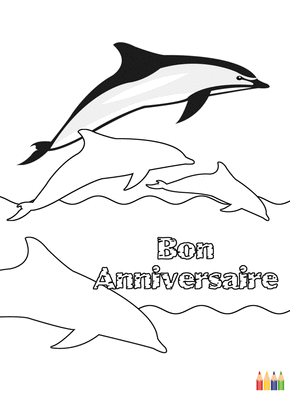Carte Coloriage bon anniversaire dauphins Carte coloriage