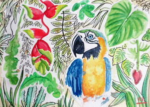 Carte Perroquet dans sa jungle luxuriante Carte avec un oiseau