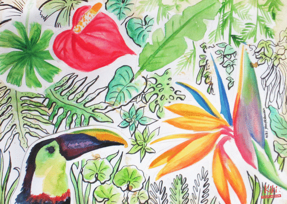 Carte Toucan dans sa jungle luxuriante Carte avec un oiseau