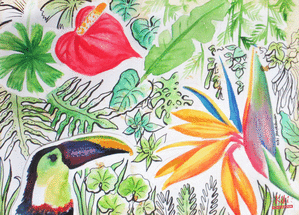 Carte Toucan dans sa jungle luxuriante Carte avec un oiseau