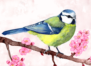 Carte Jolie mésange bleue à l`aquarelle Carte avec un oiseau
