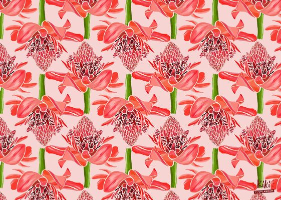 Carte  postale fleurs de gingembre Carte avec des fleurs
