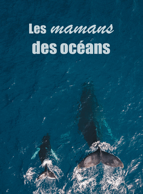 Carte Les mamans des océans Carte fête des mères avec des animaux