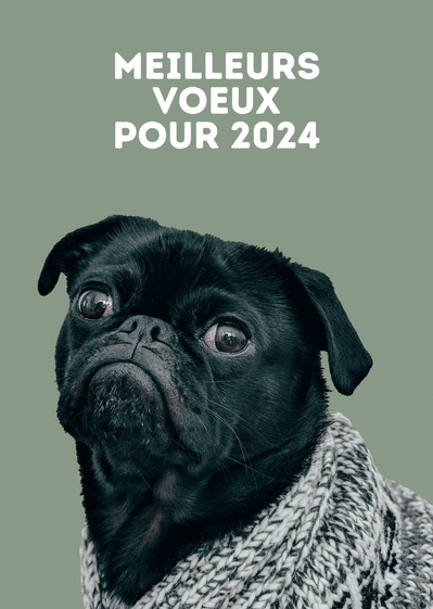 Carte Meilleurs voeux de toutou fond vert Carte de voeux entreprise humour 2024