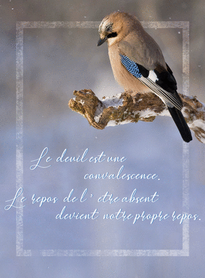 Deuil Citation Sur La Vie Et La Mort Images Blog Dovnload Images