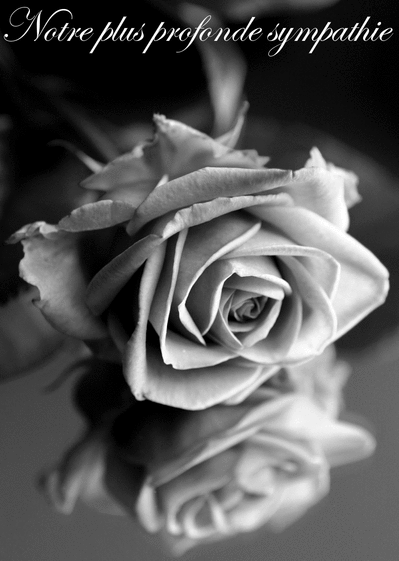 Carte Notre plus profonde sympathie en noir et blanc Carte condoléances fleurs