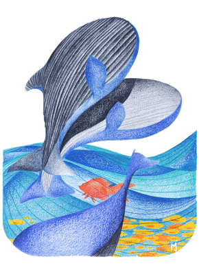 Carte Les jolies baleines Carte d'animaux