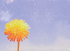 Carte  postale fleur du soleil Carte postale d'août et vacances