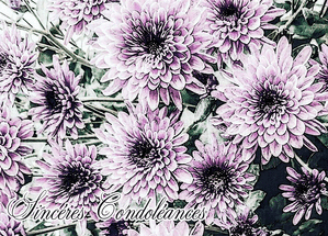 Carte Chrysanthème violet réalisé à l`aquarelle Carte condoléances fleurs