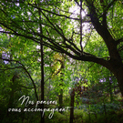 Nos pensées vous accompagnent forêt vert