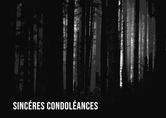 Carte Sincère condoléances en forêt Carte condoléances