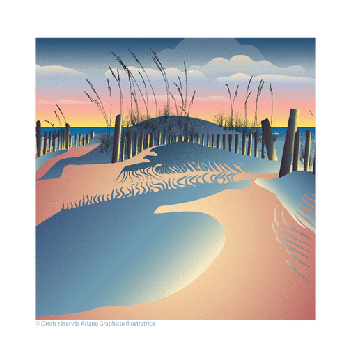 Carte Un coucher de soleil rose dans les dunes de Carcans Carte postale France