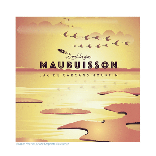 Carte Couleurs d`automne et d`hiver sur le marais de Maubuisson Carte postale France