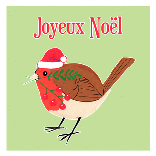 Carte Petit rouge gorge au chapeau de Noël Carte de Noël enfant