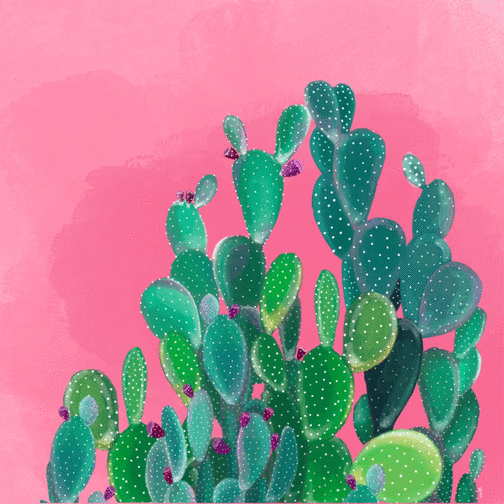 Carte Cactus sur fond rose Carte postale d'août et vacances