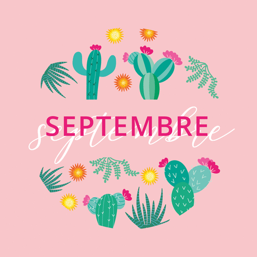Carte Septembre et motifs cactus rose Carte de septembre et de la rentrée