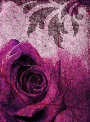 Carte Rose triste Carte condoléances fleurs