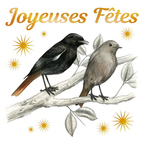 Carte Joyeuses fêtes et petits oiseaux Carte de noel