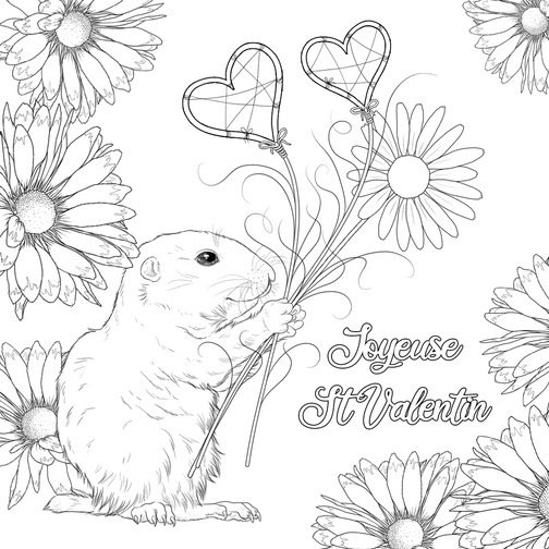 Carte Coloriage de St Valentin adorable marmotte Carte Saint-Valentin mignonne