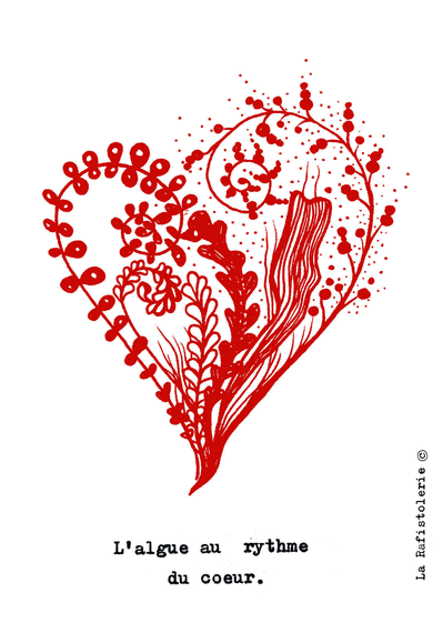 Carte L`algue au rythme du coeur Carte St Valentin originale