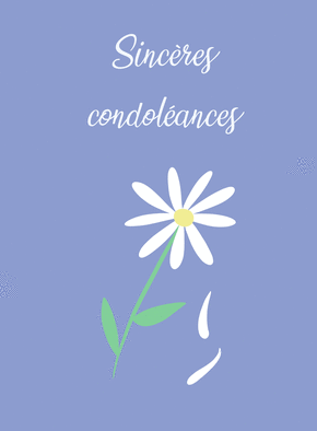 Carte Condoléances et quelques pétales qui tombent Carte condoléances fleurs