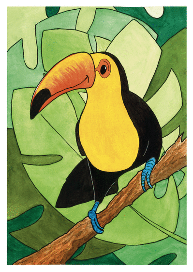 Carte Dessin de toucan coloré Carte avec un oiseau