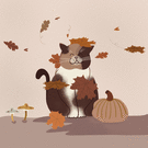 Petit chat hello automne
