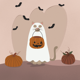 Carte Chat d`halloween déguisé en fantôme Carte halloween