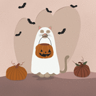 Chat d`halloween déguisé en fantôme