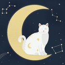Make a wish avec un chat sur la lune