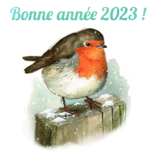 Carte Bonne année 2023 petit rouge gorge Carte de voeux Nature 2023