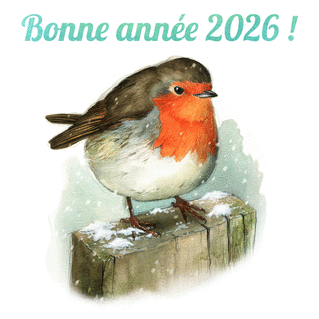 Carte Rouge-gorge joyeux pour une année 2026 Carte de voeux Nature 2026