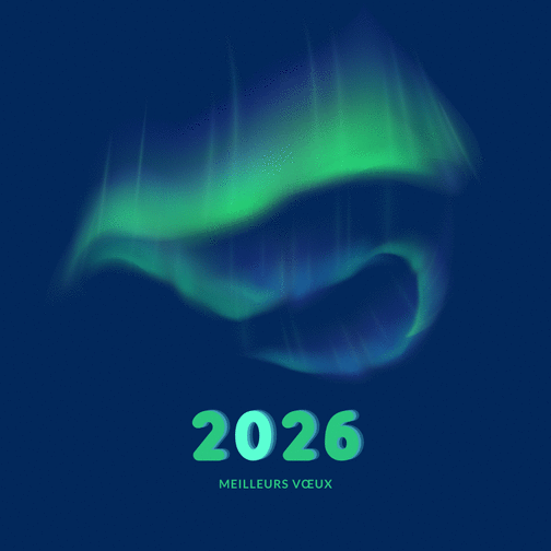 Carte Aurores boréales pour une année 2026 réussie Carte de voeux professionnelle 2026