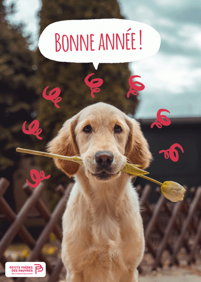 Carte bonne ann&eacute;e 2026 solidaire avec un chien joyeux Carte de voeux 2026 association