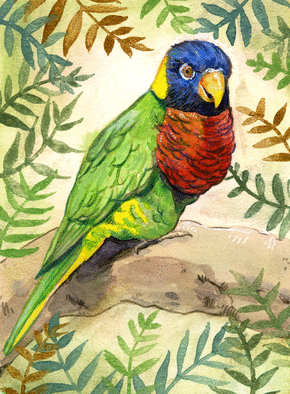 Carte Perroquet aux couleurs vives Carte avec un oiseau