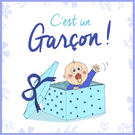 C'est un gar&ccedil;on, surprise dans un cadeau