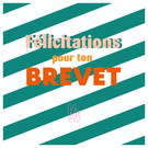 Bravo pour ton Brevet avec style et couleurs!