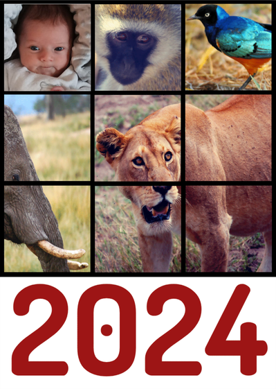 Carte Les voeux 2024 personnalisables des animaux Carte de voeux personnalisable 2024