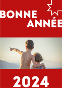 Bonne annee classic (personnalisation 2)
