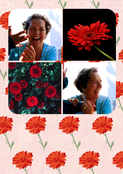 Jolies fleurs rouges pour mamie (personnalisation 8)